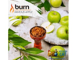 Табак Burn Famous Apple (Яблоко) 25г Акцизный